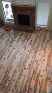 Cat reigns over barren kingdom