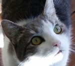 I called and you didn't come