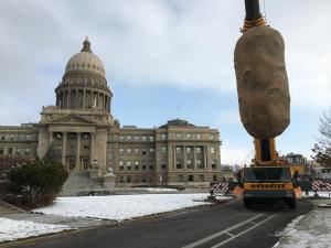 potato in front of capital