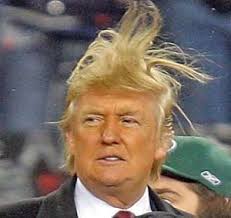 Trump Bad Hair Day